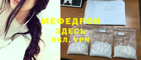шишки Горняк