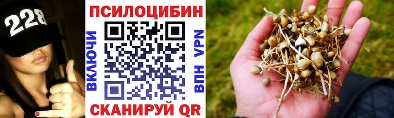 Галлюциногенные грибы GOLDEN TEACHER  Куровское 